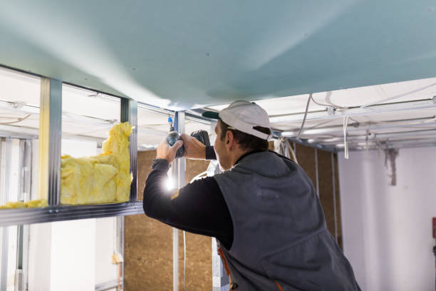Types of Insulation We Offer in South Miami, FL