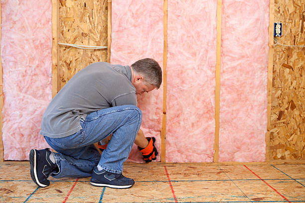 Best Specialized Insulation Services in South Miami, FL