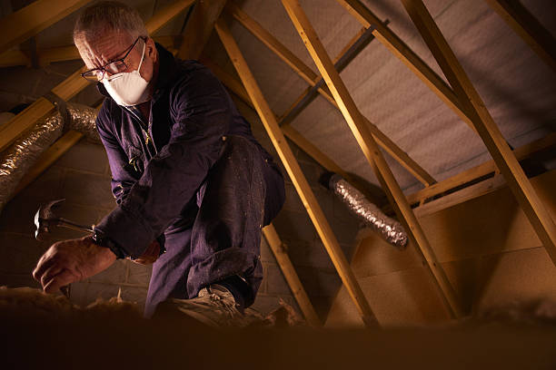 Best Insulation Maintenance and Repair in South Miami, FL