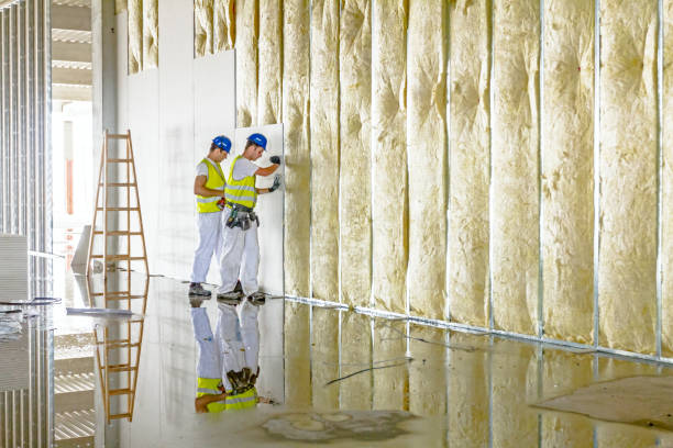 Best Blown-in Insulation in South Miami, FL